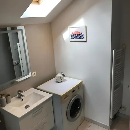 Cotes Et - Charme, Parking, Proche Et Randonnée Appartement Veyrier-du-Lac
